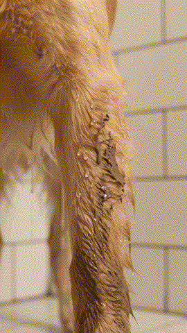 Satisfying Mud Clean