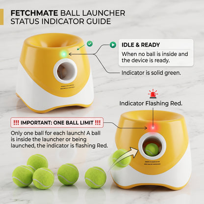 Smart Interactive Automatic Ball Launcher for Dogs | Indoor & Outdoor Tennis Ball Thrower