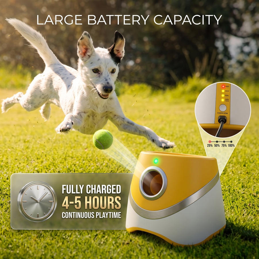 Long-Lasting Power: 4–5 Hours of Non-Stop Fetch