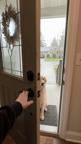 Instant Step-In