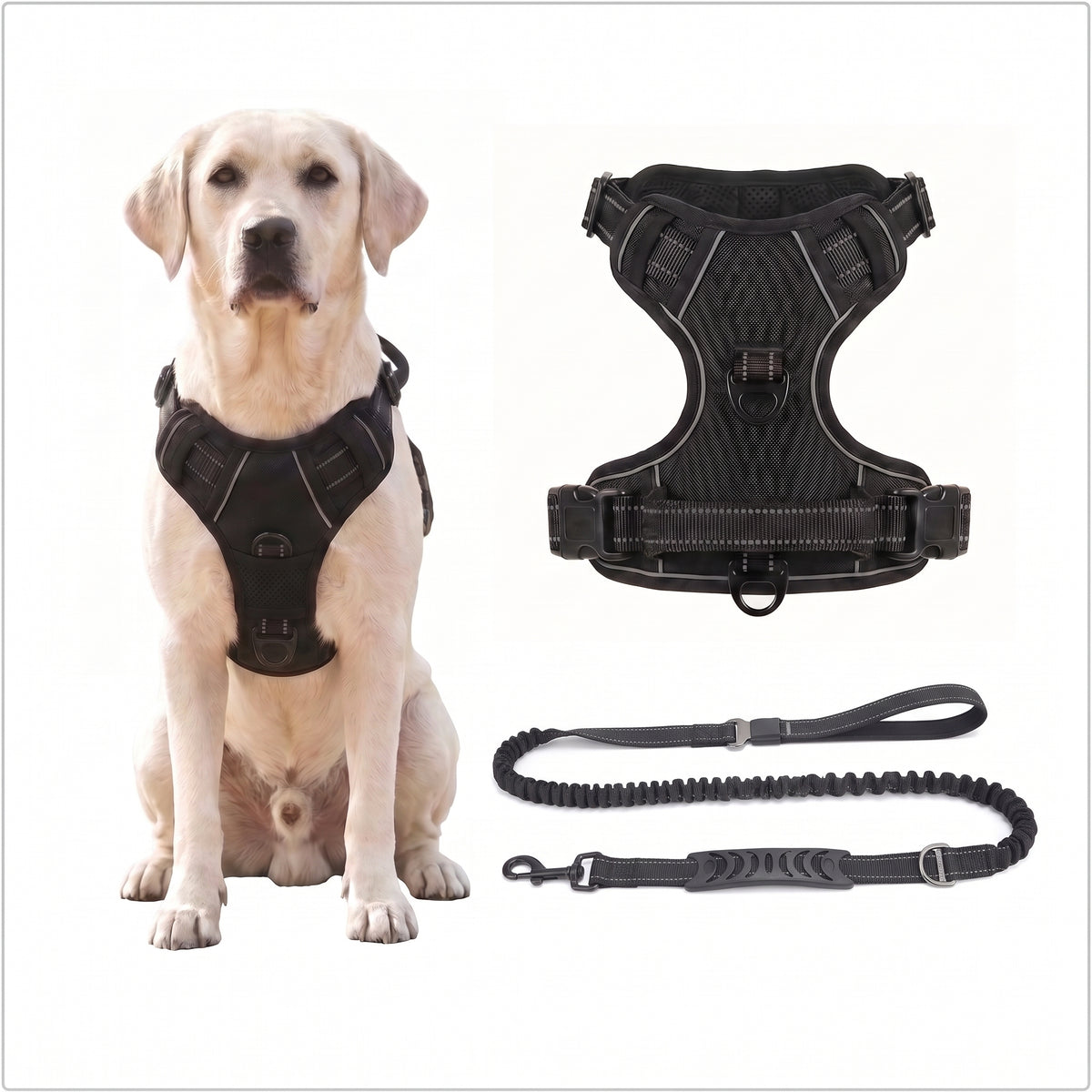 Anti-Pull Breathable Mesh Dog Harness – Reflective Safety Vest for Daily Walks