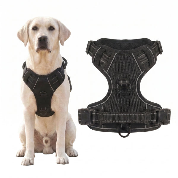 Anti-Pull Breathable Mesh Dog Harness – Reflective Safety Vest for Daily Walks